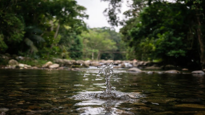 Descubra o paraíso das cachoeiras de Paraty