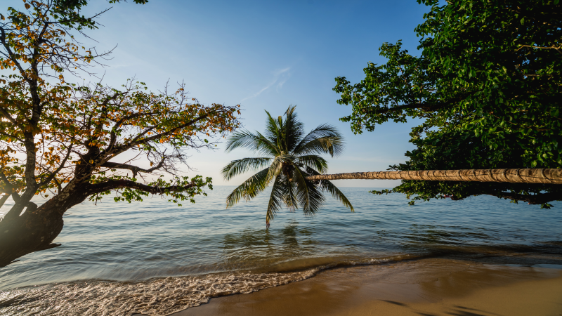 Conheça a Ilha dos Cocos em Paraty RJ