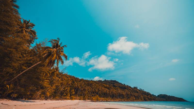 Conheça a Praia dos Antigos e Antiguinhos em Paraty