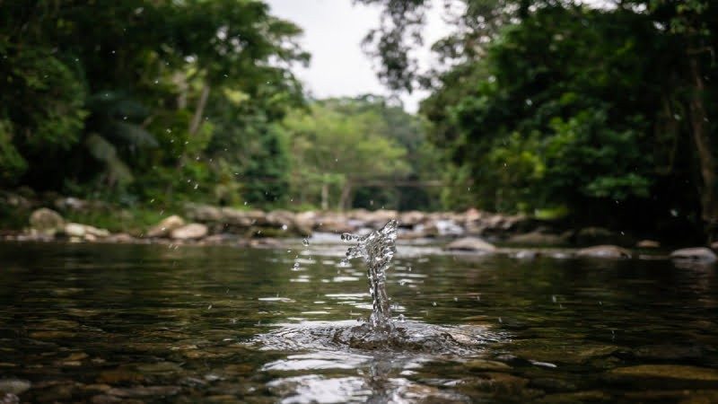 Descubra o paraíso das cachoeiras de Paraty